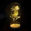 Lampka LED EXTRALINK Wieczna Róża w szkle Biały 24176 Rodzaj Lampka dekoracyjna