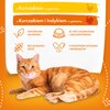 Karma dla kota BUTCHER'S Delicious Dinners z kurczakiem i z kurczakiem i indykiem (4 x 100 g) Opakowanie Saszetka