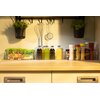 Organizer do lodówki EASYFORM Tall Mini 3.8 L Rodzaj Organizer