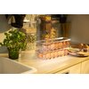 Organizer do lodówki EASYFORM Clear 14 Rodzaj Organizer