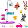 Zestaw figurek LITTLEST PET SHOP Disco LPS00637 Seria Littlest Pet Shop