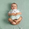 Maskotka CHICCO First Dreams Misiek Brzuszek 00012266000000 Miętowy Wiek 0+