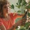 Sekator ręczny FISKARS Plant Care 1075314 Gwarancja 24 miesiące