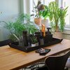 Zestaw narzędzi FISKARS Plant Care 1075317 (3 szt.) Kolor Zielony
