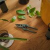 Zestaw narzędzi FISKARS Plant Care 1075317 (3 szt.) Szerokość robocza [mm] 77