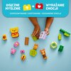 LEGO 10457 DUPLO Disney Przyjęcie urodzinowe Kubusia Puchatka Płeć Chłopiec