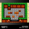 Zestaw gier EVERCADE Indie Heroes 4 Gatunek Zręcznościowa