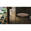 Głośnik mobilny BOWERS & WILKINS Zeppelin Pro Edition Złoty Informacje dodatkowe AptX