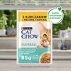 Karma dla kota CAT CHOW Hairball z Kurczakiem i zieloną fasolką w sosie (26 x 85g) Waga 2.21 kg