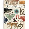 Książka W Muzeum Animalium Jenny Broom (twarda okładka)