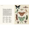 Książka W Muzeum Animalium Jenny Broom (twarda okładka) Płeć Dziewczynka