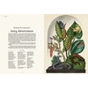 Książka W Muzeum Animalium Jenny Broom (twarda okładka) Liczba stron 104