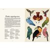Książka W Muzeum Animalium Jenny Broom (twarda okładka) Płeć Chłopiec