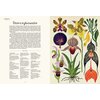 Książka W Muzeum Botanicum Kathy Willis (twarda okładka) Liczba stron 104