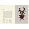 Książka W Muzeum Insektarium Dave Goulson (twarda okładka) Płeć Dziewczynka