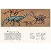 Książka W Muzeum Dinozaurium Lily Murray (twarda okładka) Płeć Dziewczynka