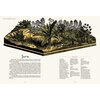Książka W Muzeum Dinozaurium Lily Murray (twarda okładka) Płeć Chłopiec