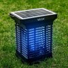 Lampa owadobójcza VAYOX IKV-200 Kolor Czarny