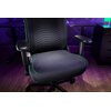 Fotel RAZER Iskur V2 X Czarny Waga [kg] 23.37