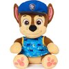 Maskotka SPIN MASTER Psi Patrol Chase & Skye 6069284 (1 maskotka)