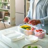 Saszetka z aktywnym węglem do organizerów CARE+PROTECT CFSFB4004 (4 szt.) Rodzaj produktu Saszetka