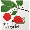 Książka Remek marzyciel Anne Crausaz (twarda okładka)