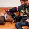 Zabawka CERDA Lina Spiderman z piszczałką Cechy Bezpieczny i wytrzymały