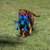 Zabawka CERDA Lina Stitch z piszczałką Cechy Bezpieczny i wytrzymały