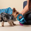 Zabawka CERDA 2800000688 Stitch Cechy Masująca dziąsła