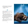 Książka Bohaterowie magicznego drzewa Porwanie Andrzej Maleszka (twarda okładka) Seria Bohaterowie magicznego drzewa