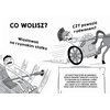 Książka Co wolisz? Starożytni Rzymianie Clive Gifford (miękka okładka) Płeć Dziewczynka