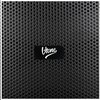 Power Audio V-TONE Before Bluetooth, Dwa wejścia mikrofonowe, Radio FM, Mikrofon w zestawie, Pilot Mikrofon w zestawie Tak