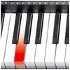Keyboard V-TONE VK 500-61L Czarny Pitch bend Nie