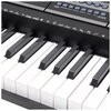 Keyboard V-TONE VK 500-61L Czarny Aftertouch Nie
