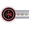 Suszarka SKINVIBE Aurea Family X Plasma SV-001SL Srebrny 1600W Funkcje AI Nie