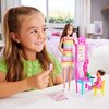 Lalka Barbie Kariera Nauczycielka JCR76 Rodzaj Lalka Barbie