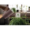 Konewka PROSPERPLAST IBIS Zielony 10L Kolor Zielony