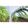 Szklarnia PROSPERPLAST Floo 759838 240 x 57 x 30 cm Zielony Rodzaj Tunel foliowy