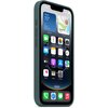 Etui APPLE Silicone Case do iPhone 16e Górskie jezioro Marka telefonu Apple