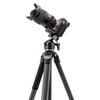 Statyw FOTOPRO Origin Plus O-8H Szaro-czarny Wymienna stopka Nie