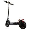 Hulajnoga elektryczna RUPTOR R1 V2 80 km 500W Amortyzacja 10" Miedziany Rozmiar kół [cale] 10