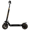 Hulajnoga elektryczna RUPTOR R1 Lite V2 60km 500W 10" Miedziany Rozmiar kół [cale] 10