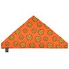 Zestaw akcesoriów CINEREPLICAS One Piece Bandana i woreczek z monetami Płeć Chłopiec