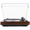 Gramofon DUAL CS 529 BT Orzech, Automatyczny, Napęd paskowy,PrędkośĆ odtw. 33,45,78 obr./min,Bluetooth Sterowanie Automatyczne
