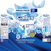 Proszek do prania GALLUS Professional Universal 6.6 kg Rodzaj produktu Proszek