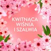 Płyn do płukania LENOR Cherry Blossom & Sage 1239 ml Liczba sztuk w opakowaniu 1