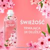Płyn do płukania LENOR Cherry Blossom & Sage 1239 ml Pojemność [ml] 1239