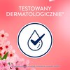 Płyn do płukania LENOR Cherry Blossom & Sage 1239 ml Liczba prań 59