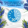 Płyn do płukania LENOR Capri 1239 ml Zastosowanie Uniwersalne