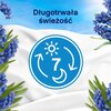 Płyn do płukania LENOR Capri 987 ml Liczba sztuk w opakowaniu 1